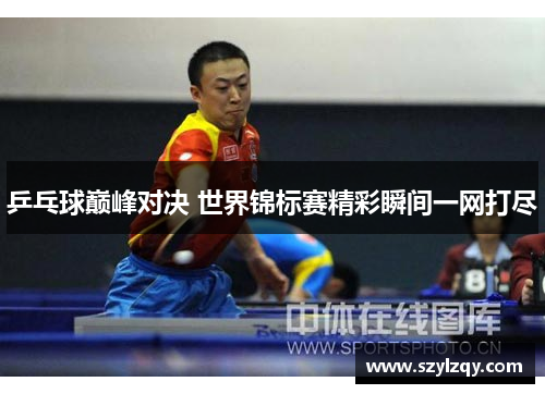 乒乓球巅峰对决 世界锦标赛精彩瞬间一网打尽